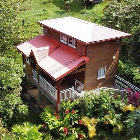 Mahogany Lodge - Oasis Cosy Rivière-Pilote Kültér fotó