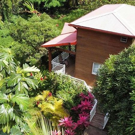 Mahogany Lodge - Oasis Cosy Rivière-Pilote Kültér fotó