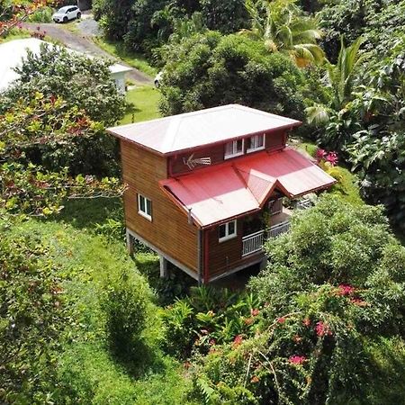 Mahogany Lodge - Oasis Cosy Rivière-Pilote Kültér fotó