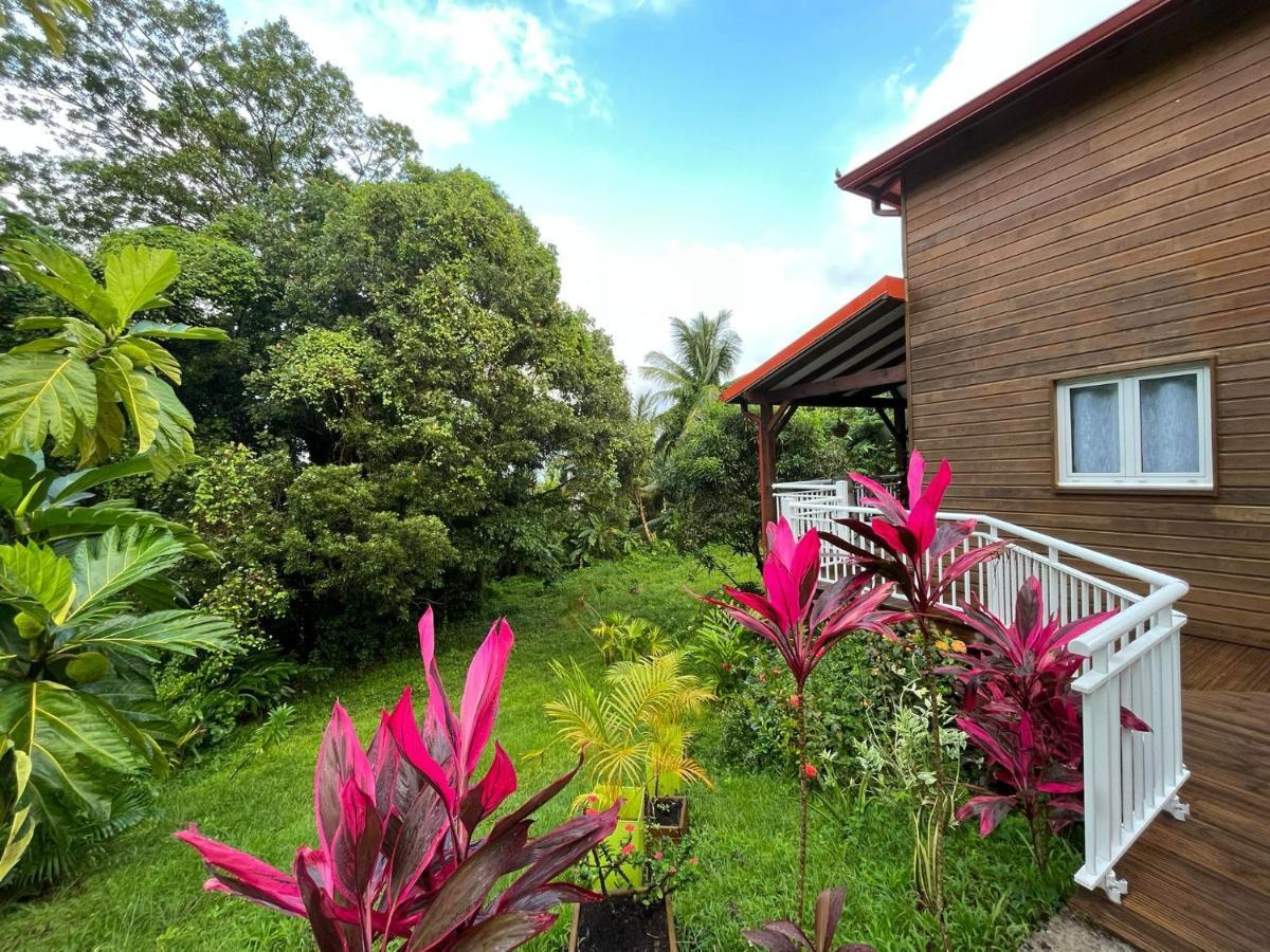 Mahogany Lodge - Oasis Cosy Rivière-Pilote Kültér fotó
