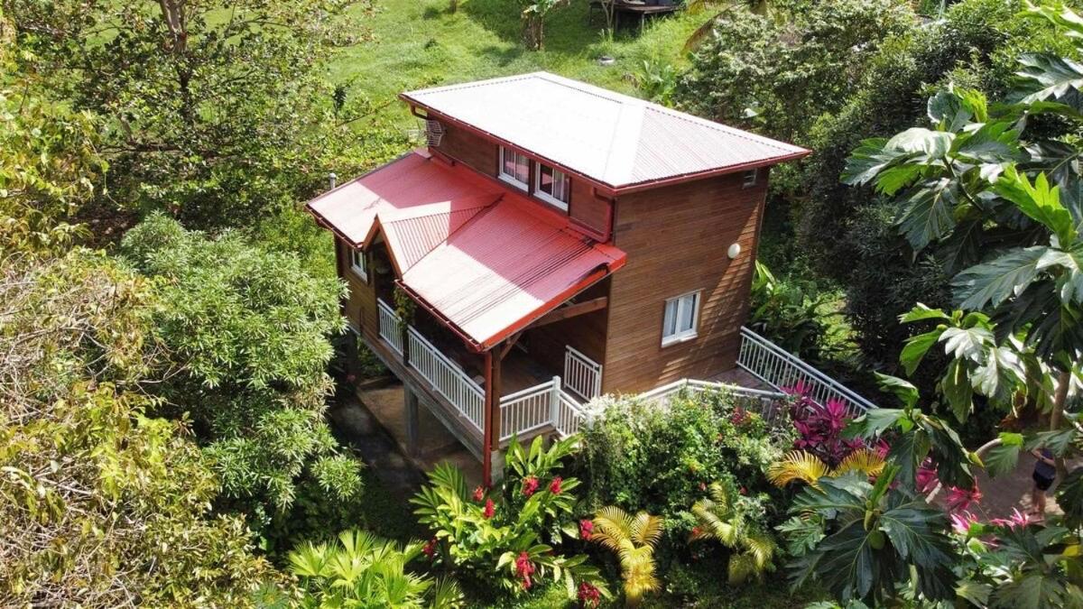 Mahogany Lodge - Oasis Cosy Rivière-Pilote Kültér fotó